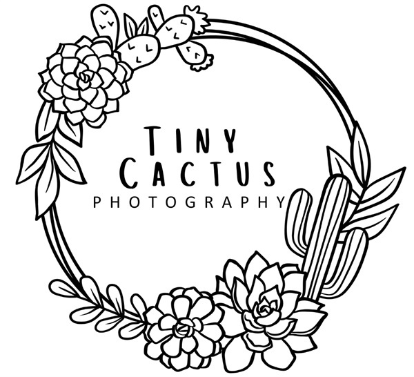 Cactus Photography